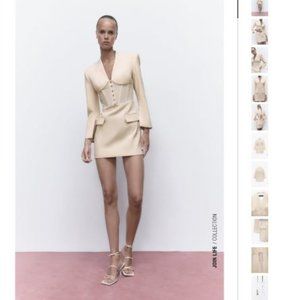 Brand New Zara Dress Fall 2022